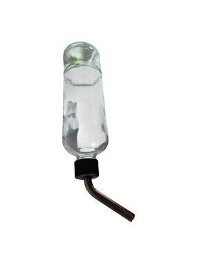 Glass Water Bottle Stainless Steel Straw Green Turtle Float Small Animal
